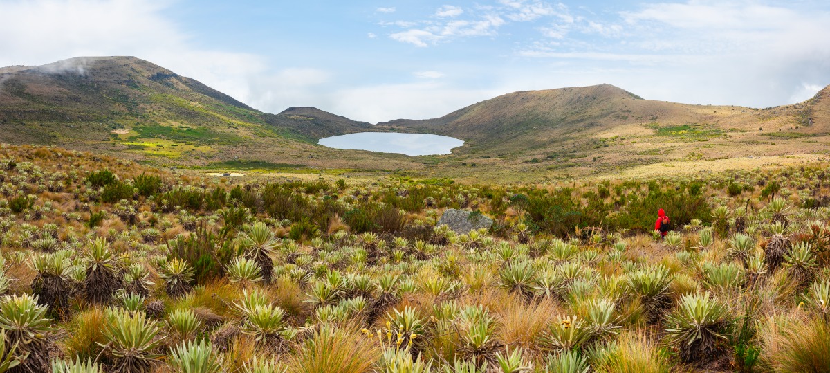 Sumapaz